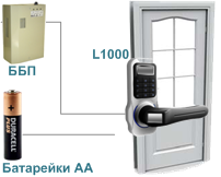 l1000
