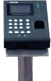 stoyka small